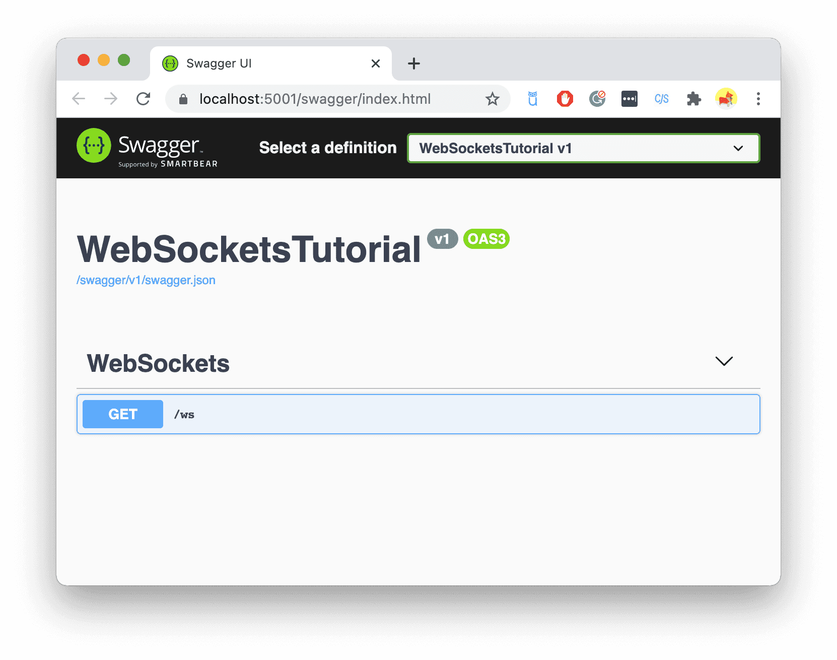Swagger index html. Websocket.